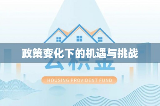 靖安政策变化下的机遇与挑战