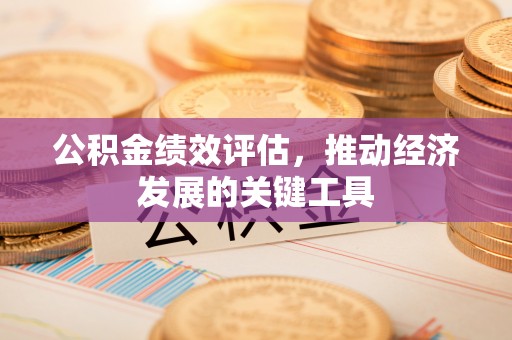靖安公积金绩效评估，推动经济发展的关键工具