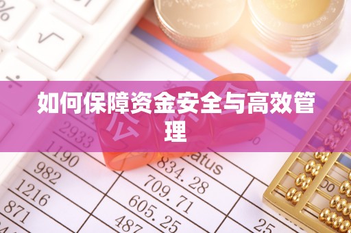 靖安如何保障资金安全与高效管理