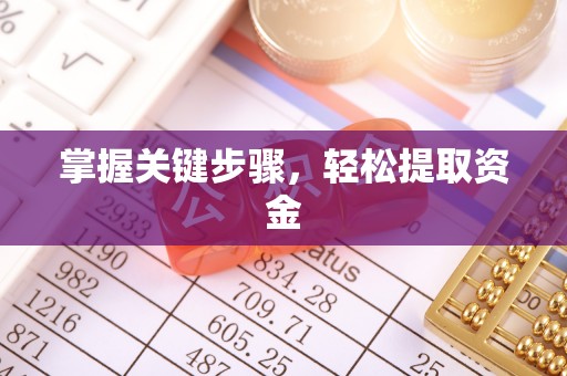 靖安掌握关键步骤，轻松提取资金