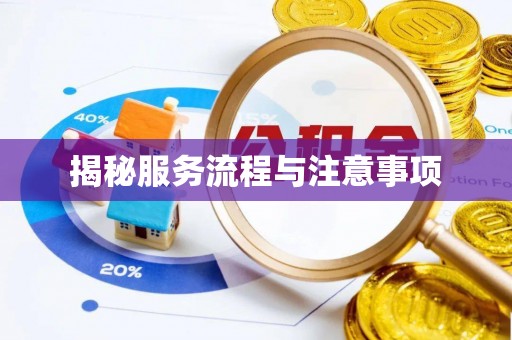 靖安揭秘服务流程与注意事项