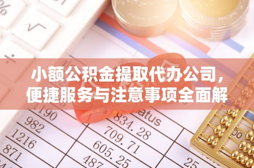 靖安小额公积金提取代办公司，便捷服务与注意事项全面解析