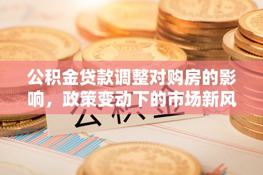 靖安公积金贷款调整对购房的影响，政策变动下的市场新风向