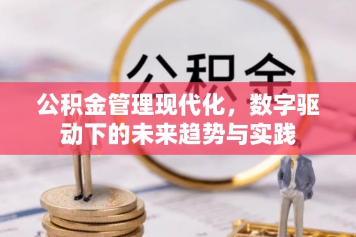 靖安公积金管理现代化，数字驱动下的未来趋势与实践