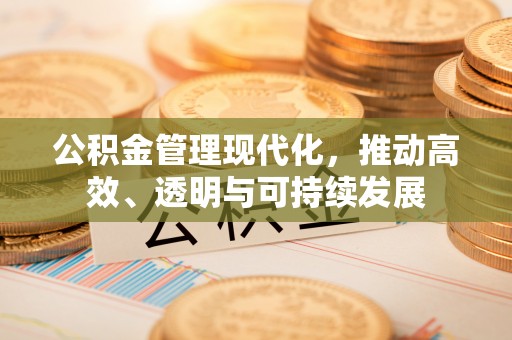 靖安公积金管理现代化，推动高效、透明与可持续发展