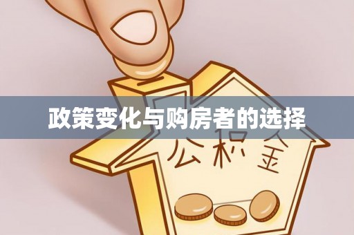 靖安政策变化与购房者的选择