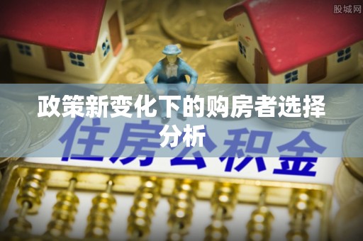 靖安政策新变化下的购房者选择分析
