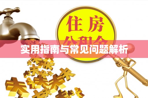 靖安实用指南与常见问题解析