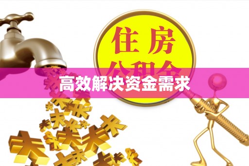 靖安高效解决资金需求