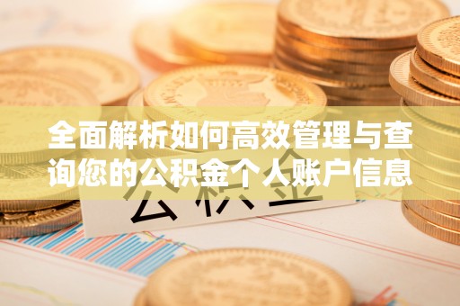 靖安全面解析如何高效管理与查询您的公积金个人账户信息