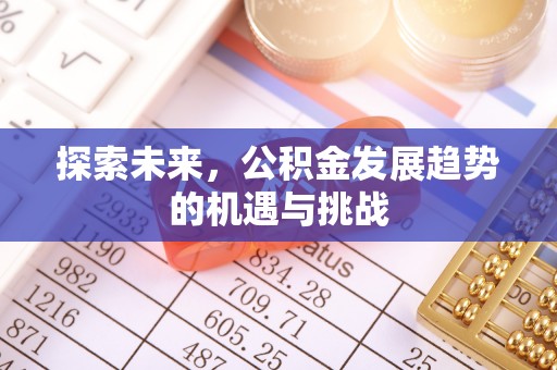 靖安探索未来，公积金发展趋势的机遇与挑战