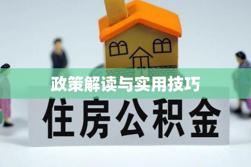 靖安政策解读与实用技巧