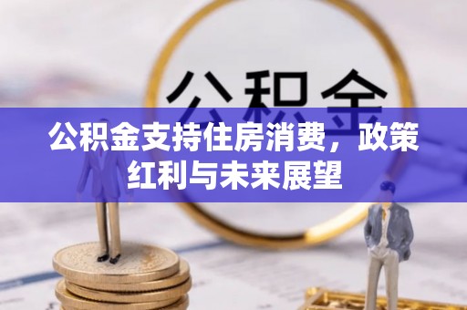 靖安公积金支持住房消费，政策红利与未来展望