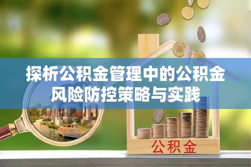 靖安探析公积金管理中的公积金风险防控策略与实践