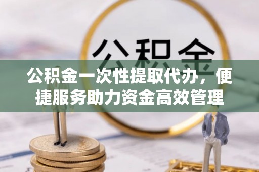 靖安公积金一次性提取代办，便捷服务助力资金高效管理