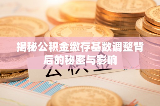靖安揭秘公积金缴存基数调整背后的秘密与影响