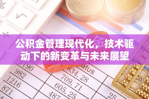 靖安公积金管理现代化，技术驱动下的新变革与未来展望