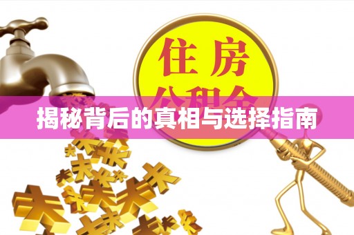 靖安揭秘背后的真相与选择指南