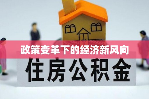 靖安政策变革下的经济新风向