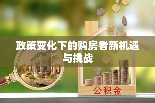 靖安政策变化下的购房者新机遇与挑战