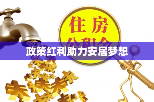 靖安政策红利助力安居梦想