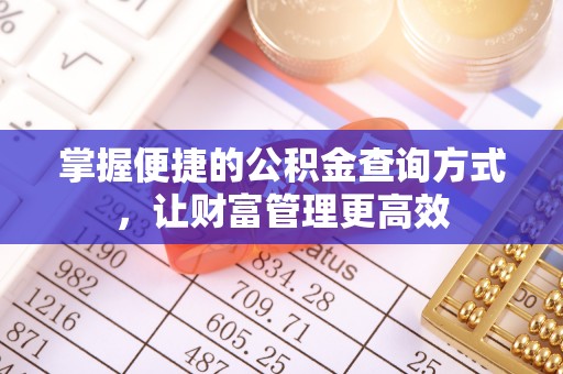 靖安掌握便捷的公积金查询方式，让财富管理更高效