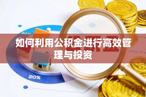 靖安如何利用公积金进行高效管理与投资
