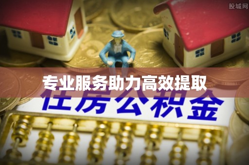 靖安专业服务助力高效提取