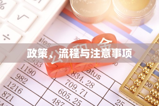 靖安政策、流程与注意事项