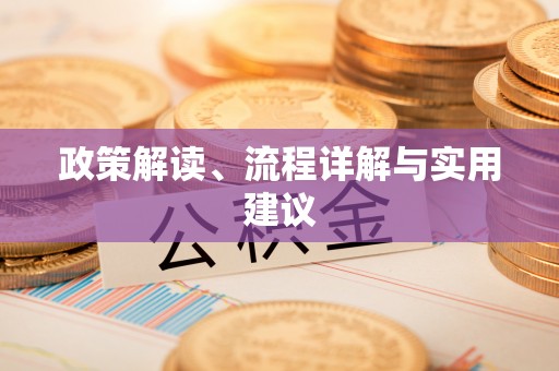 靖安政策解读、流程详解与实用建议