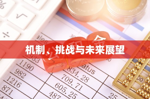 靖安机制、挑战与未来展望